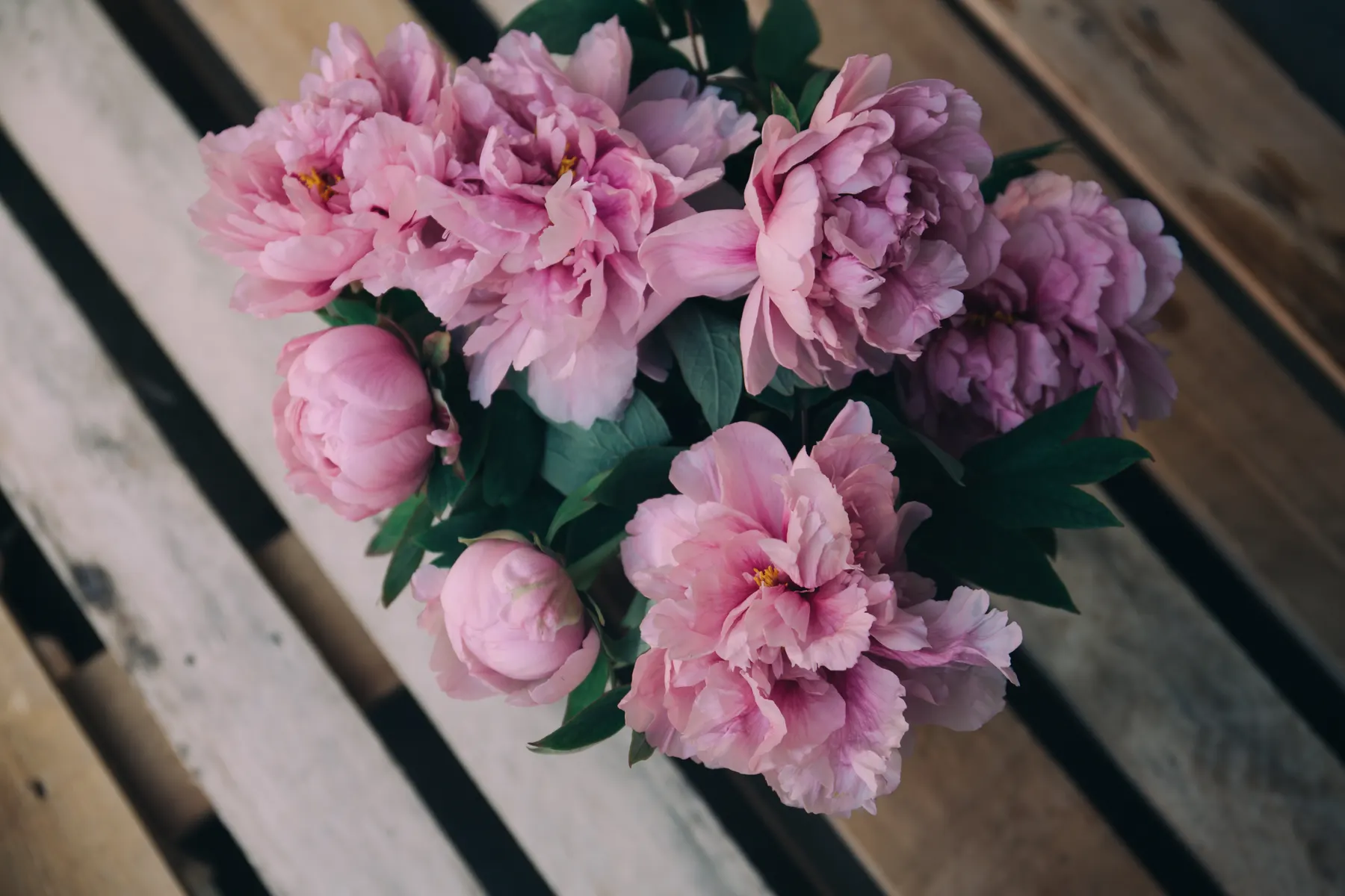 Blush peonies gathered on a weathered wooden bench outside the shop