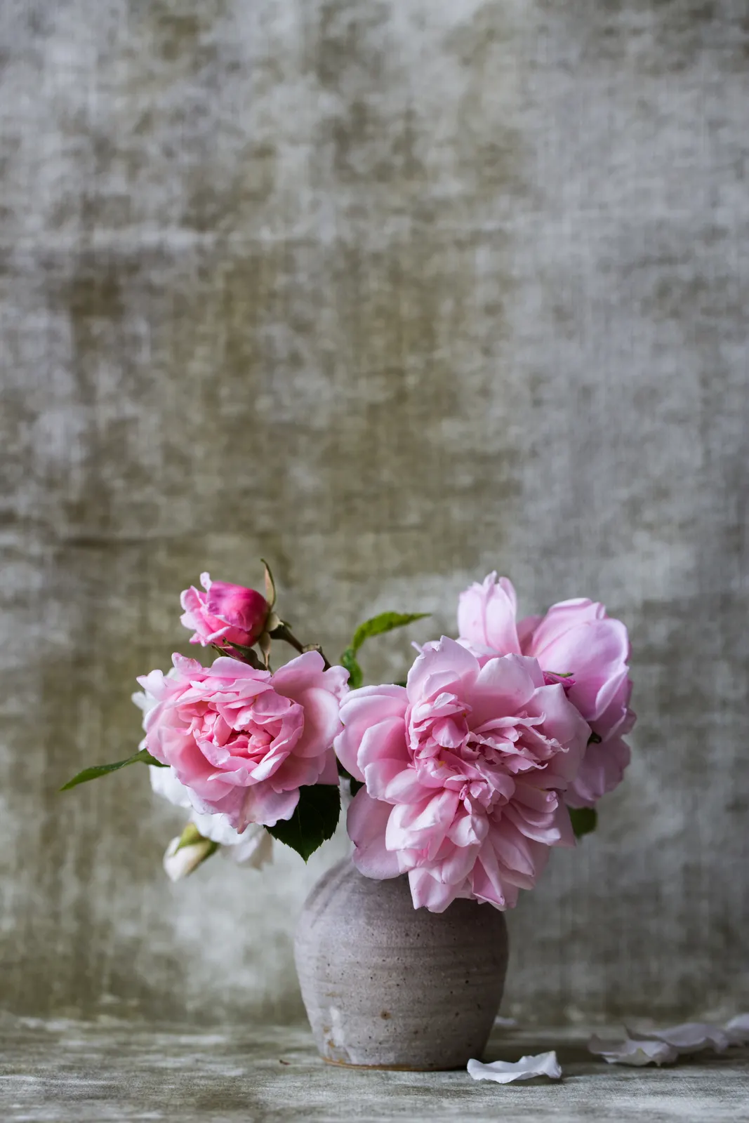 Pink peonies in a clear vase against a soft grey wall